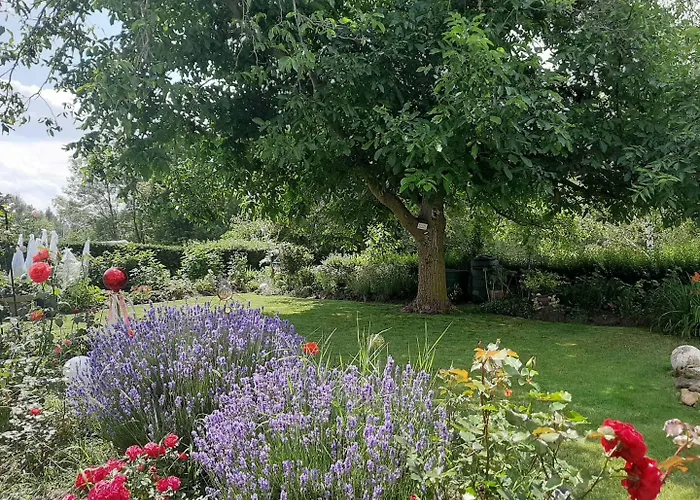 Mini-hôtel Gaestehaus Edelmann